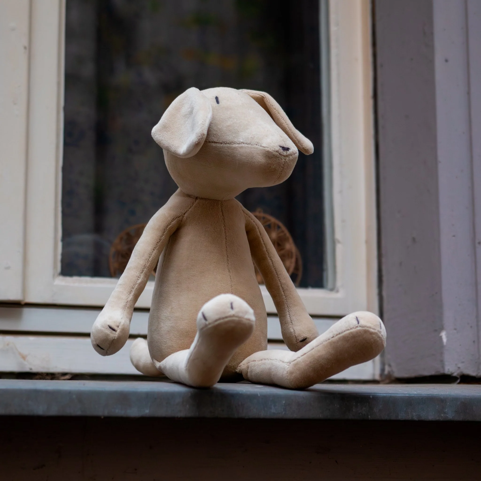 MAX THE LABRADOR - L - Image 5